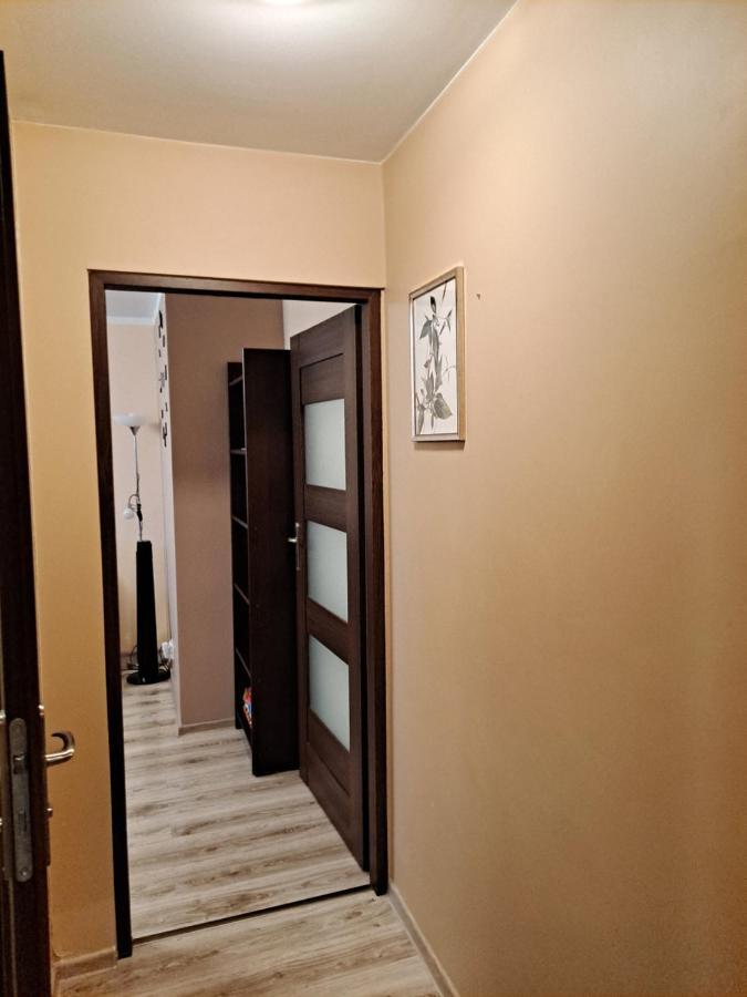 Monica Apartment Jelenia Gora Ngoại thất bức ảnh